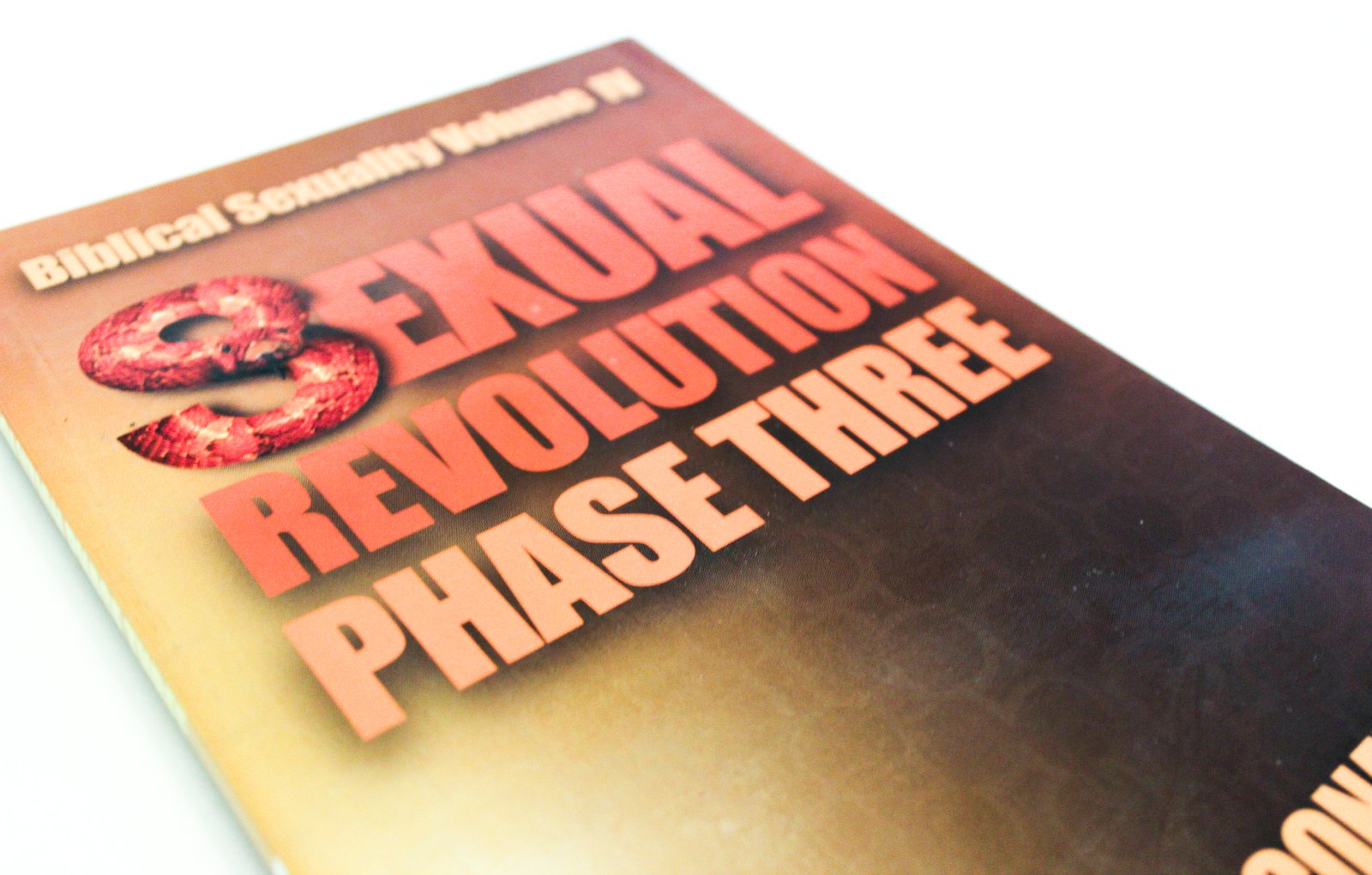 Biblical Sexuality Volume 4 Sexual Revolution Phase Three Purity